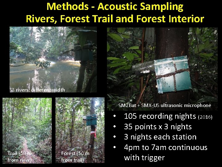 Methods - Acoustic Sampling Rivers, Forest Trail and Forest Interior 3 rivers: different width