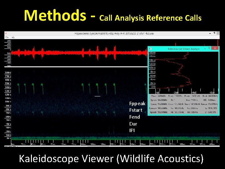 Methods - Call Analysis Reference Calls Fppeak Fstart Fend Dur IPI Kaleidoscope Viewer (Wildlife