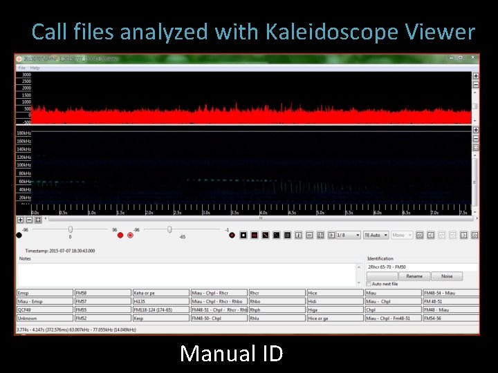 Call files analyzed with Kaleidoscope Viewer Manual ID 