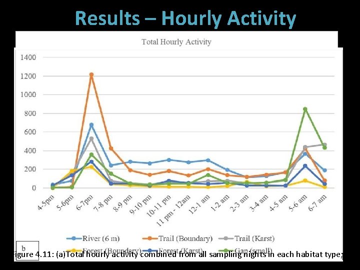 Results – Hourly Activity Figure 4. 11: (a)Total hourly activity combined from all sampling