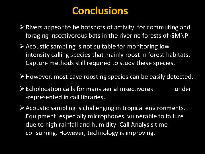 Conclusions Ø Rivers appear to be hotspots of activity for commuting and foraging insectivorous