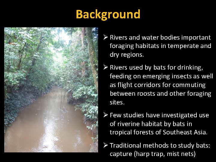 Background Ø Rivers and water bodies important foraging habitats in temperate and dry regions.
