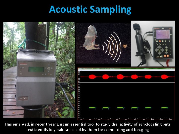 Acoustic Sampling Has emerged, in recent years, as an essential tool to study the
