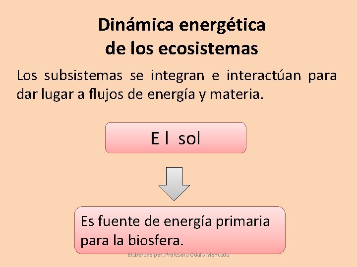 Dinámica energética de los ecosistemas Los subsistemas se integran e interactúan para dar lugar