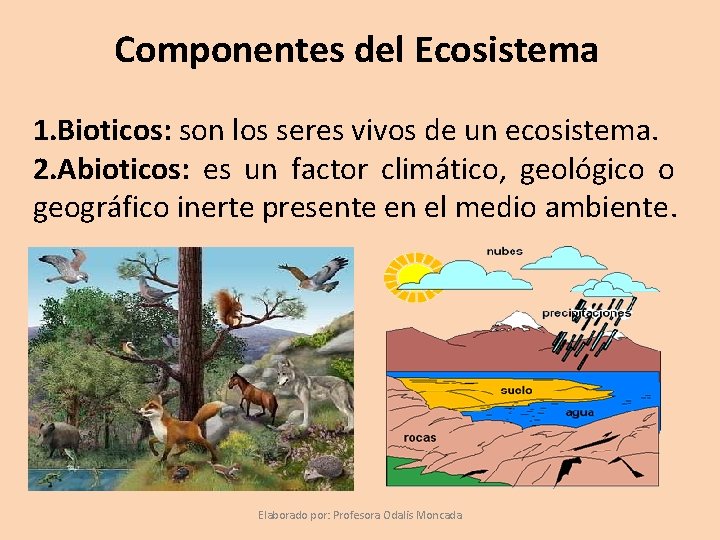 Componentes del Ecosistema 1. Bioticos: son los seres vivos de un ecosistema. 2. Abioticos: