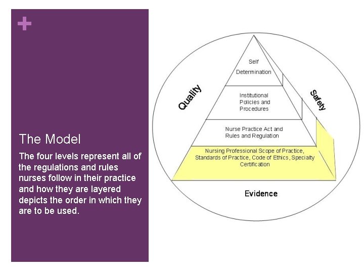 + The Model The four levels represent all of the regulations and rules nurses