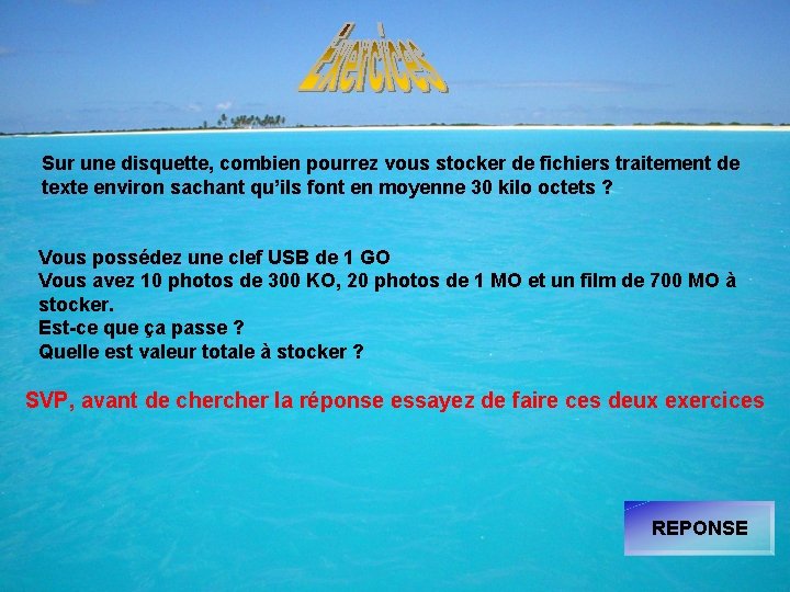 Sur une disquette, combien pourrez vous stocker de fichiers traitement de texte environ sachant