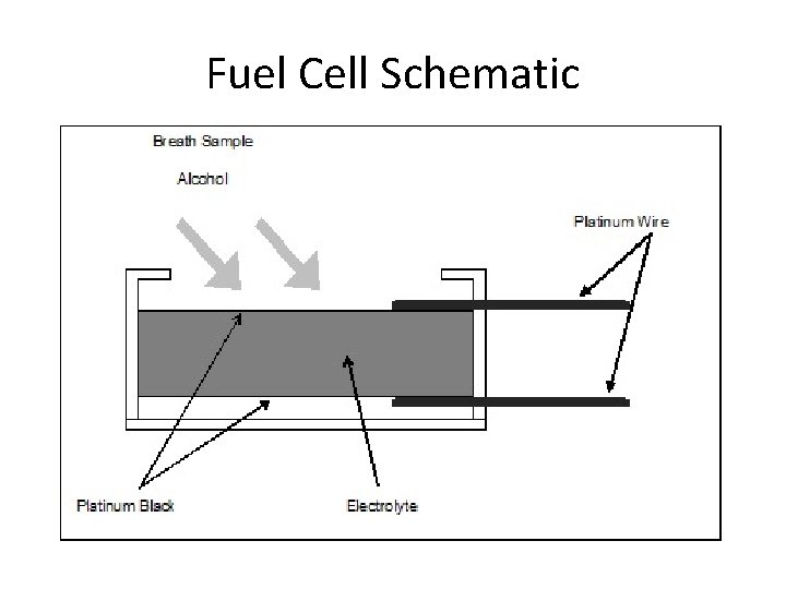 Fuel Cell Schematic 