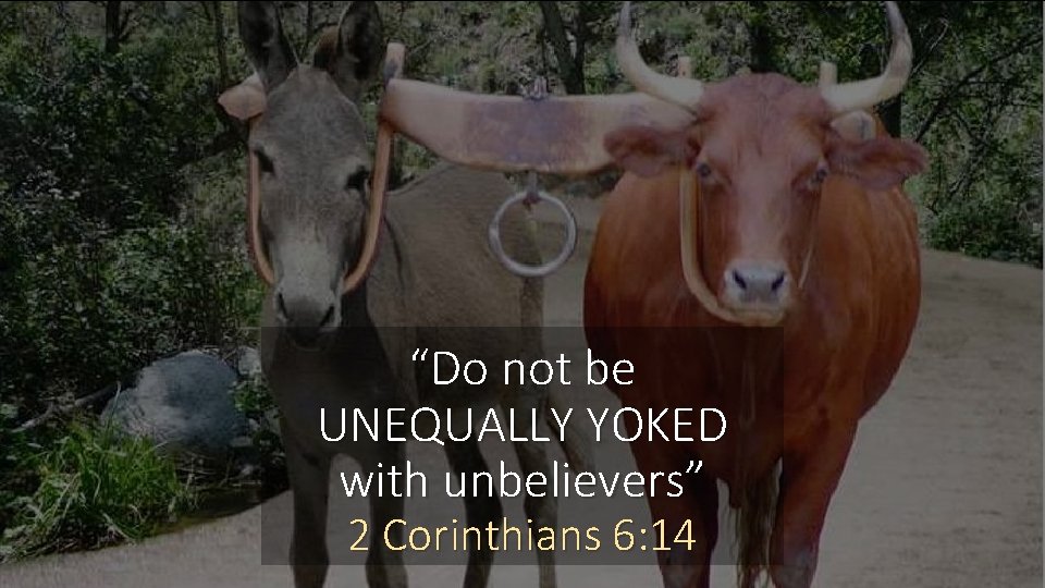 “Do not be UNEQUALLY YOKED with unbelievers” 2 Corinthians 6: 14 