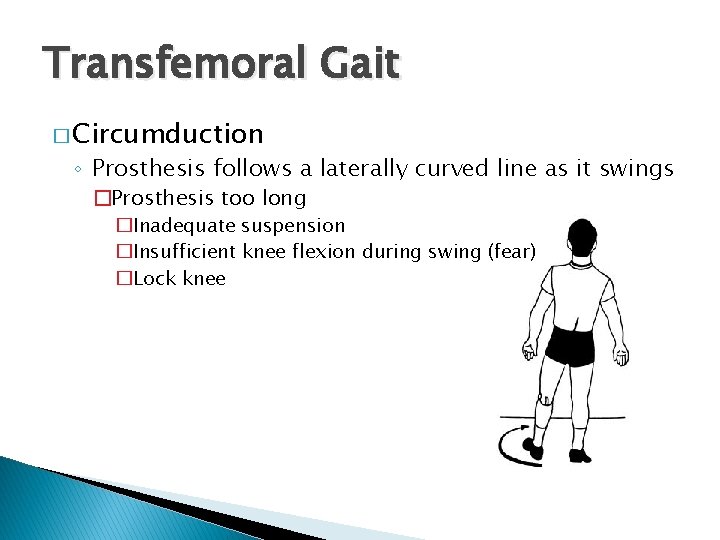 Transfemoral Gait � Circumduction ◦ Prosthesis follows a laterally curved line as it swings