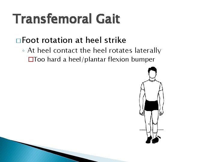 Transfemoral Gait � Foot rotation at heel strike ◦ At heel contact the heel