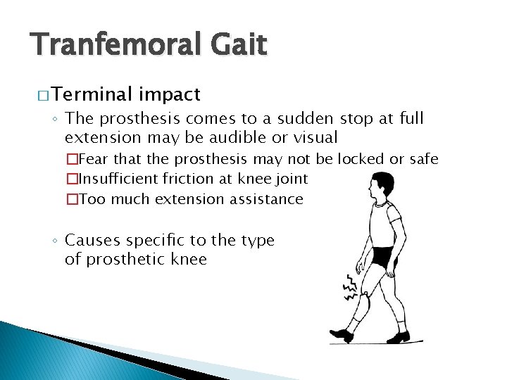 Tranfemoral Gait � Terminal impact ◦ The prosthesis comes to a sudden stop at