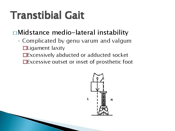 Transtibial Gait � Midstance medio-lateral instability ◦ Complicated by genu varum and valgum �Ligament