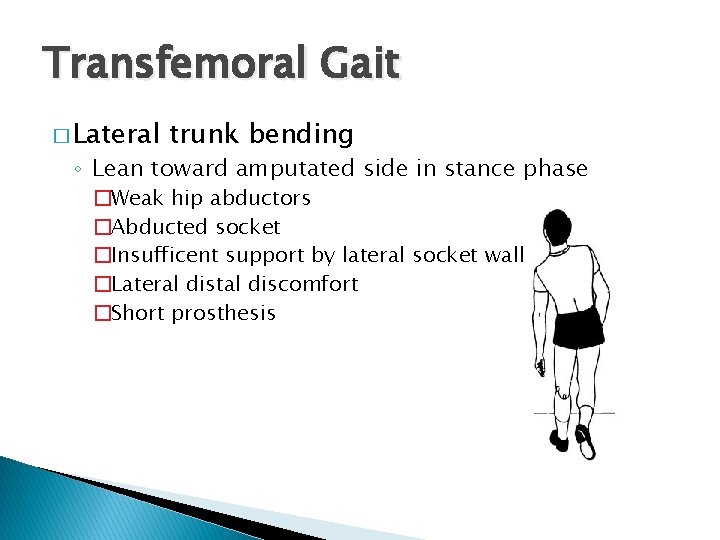 Transfemoral Gait � Lateral trunk bending ◦ Lean toward amputated side in stance phase