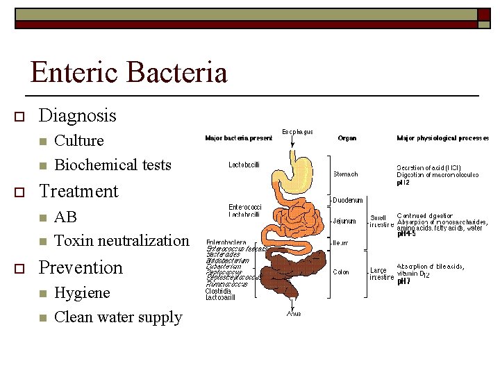 Enteric Bacteria o Diagnosis n n o Treatment n n o Culture Biochemical tests