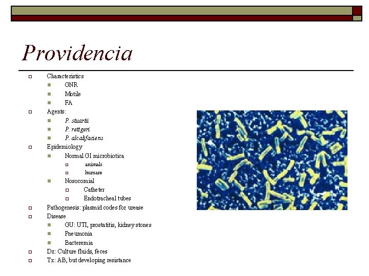 Providencia o o o Characteristics n GNR n Motile n FA Agents: n P.
