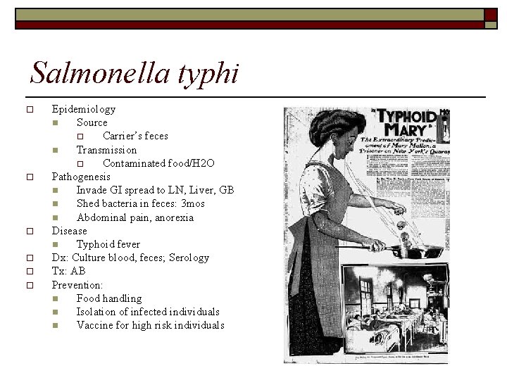 Salmonella typhi o o o Epidemiology n Source o Carrier’s feces n Transmission o
