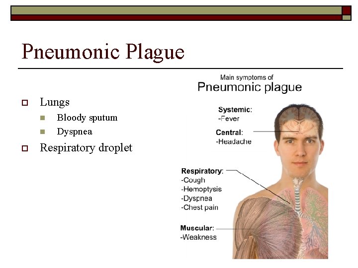 Pneumonic Plague o Lungs n n o Bloody sputum Dyspnea Respiratory droplet 