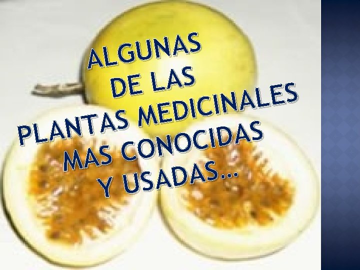 S A N U G L A S A L DE S E L
