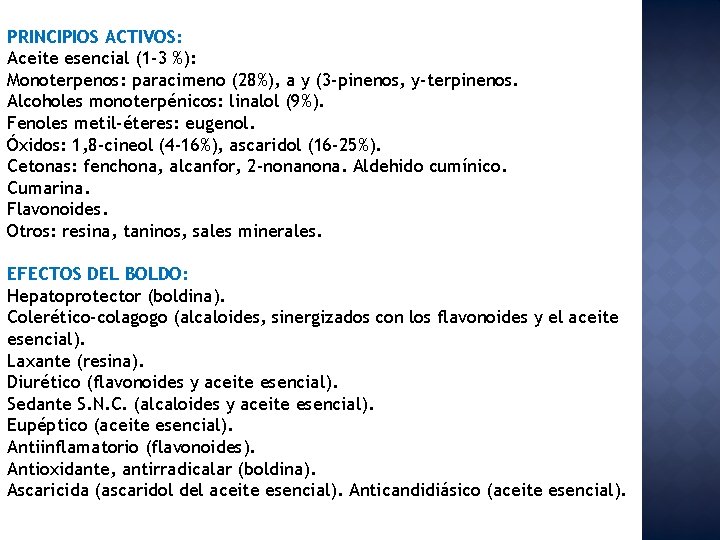 PRINCIPIOS ACTIVOS: Aceite esencial (1 -3 %): Monoterpenos: paracimeno (28%), a y (3 -pinenos,