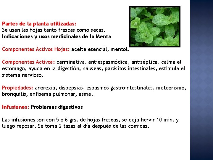 Partes de la planta utilizadas: Se usan las hojas tanto frescas como secas. Indicaciones