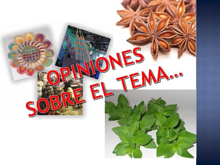 S E N O I N … I A P M O E T