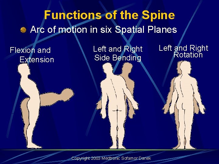 Functions of the Spine Arc of motion in six Spatial Planes Flexion and Extension Functions of the Spine Arc of motion in six Spatial Planes Flexion and Extension