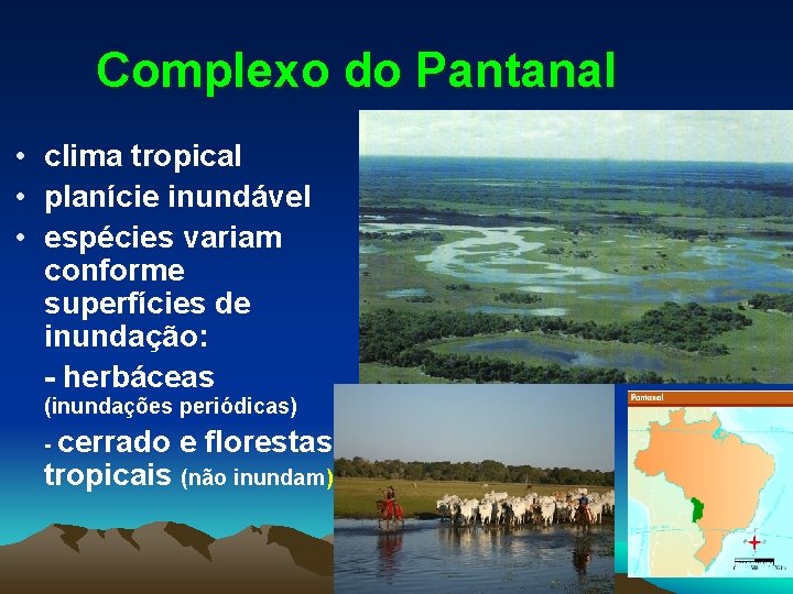 Complexo do Pantanal • clima tropical • planície inundável • espécies variam conforme superfícies