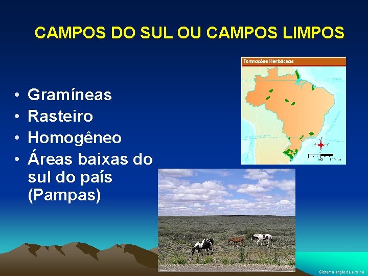 CAMPOS DO SUL OU CAMPOS LIMPOS • • Gramíneas Rasteiro Homogêneo Áreas baixas do