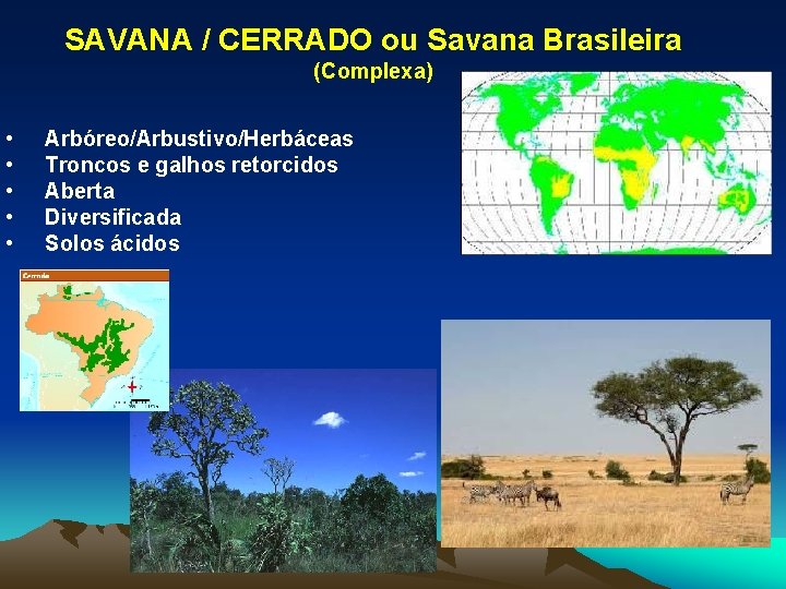 SAVANA / CERRADO ou Savana Brasileira (Complexa) • • • Arbóreo/Arbustivo/Herbáceas Troncos e galhos