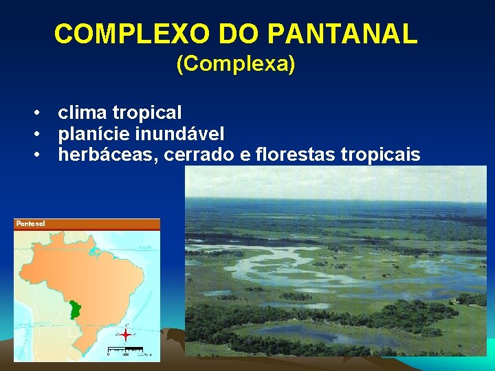 COMPLEXO DO PANTANAL (Complexa) • clima tropical • planície inundável • herbáceas, cerrado e