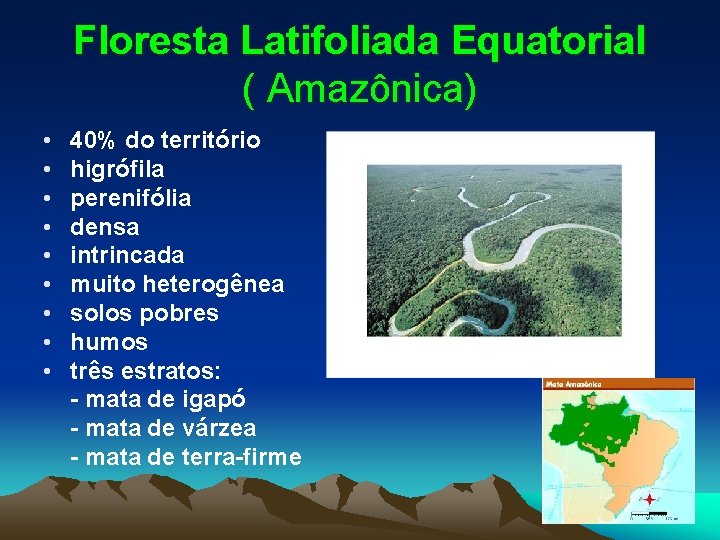 Floresta Latifoliada Equatorial ( Amazônica) • • • 40% do território higrófila perenifólia densa