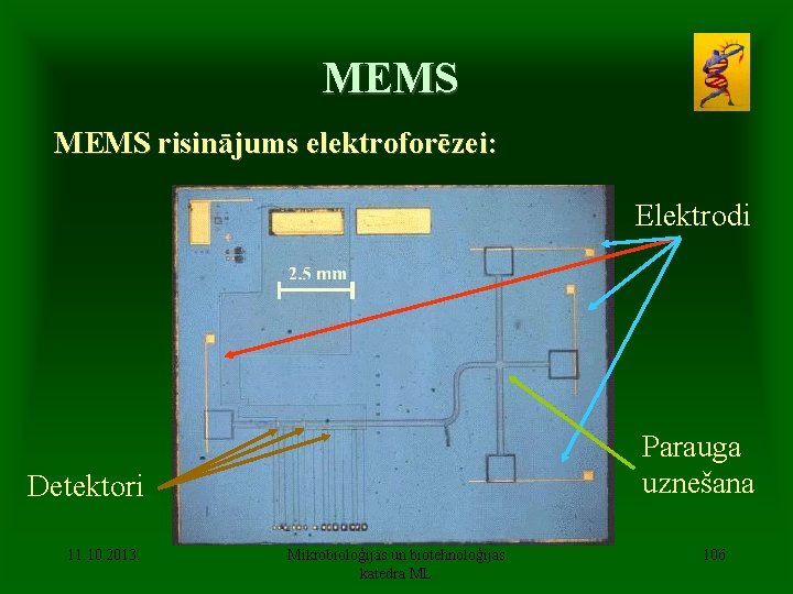 MEMS risinājums elektroforēzei: Elektrodi Parauga uznešana Detektori 11. 10. 2013. Mikrobioloģijas un biotehnoloģijas katedra