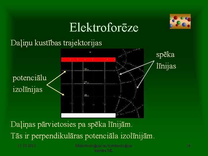 Elektroforēze Daļiņu kustības trajektorijas spēka līnijas potenciālu izolīnijas Daļiņas pārvietosies pa spēka līnijām. Tās