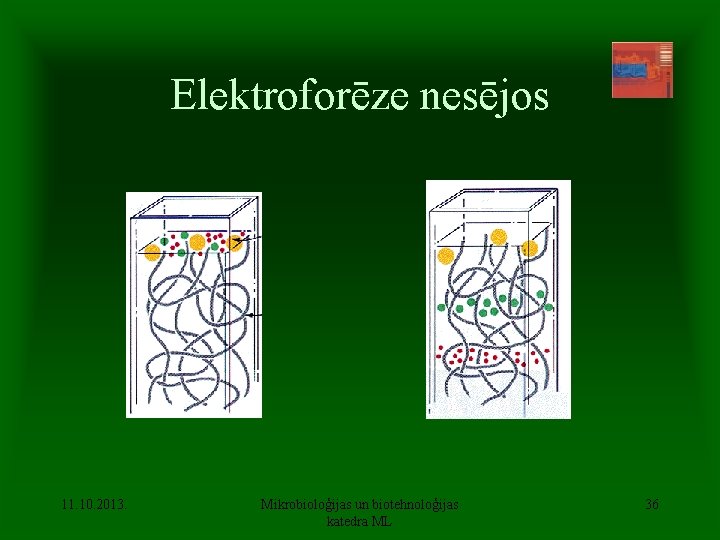 Elektroforēze nesējos 11. 10. 2013. Mikrobioloģijas un biotehnoloģijas katedra ML 36 