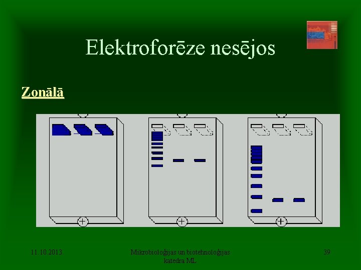 Elektroforēze nesējos Zonālā 11. 10. 2013. Mikrobioloģijas un biotehnoloģijas katedra ML 39 