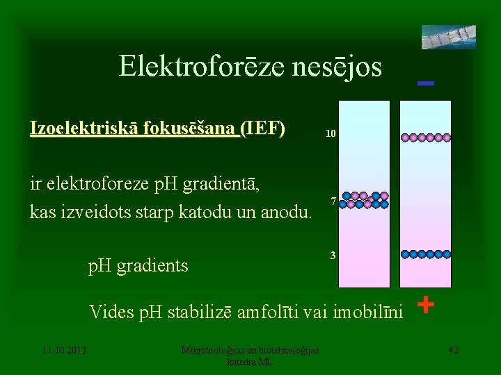 Elektroforēze nesējos Izoelektriskā fokusēšana (IEF) ir elektroforeze p. H gradientā, kas izveidots starp katodu