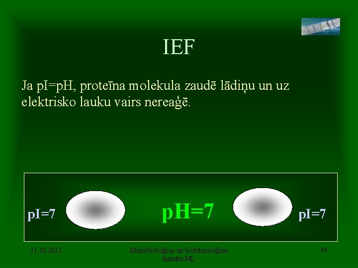 IEF Ja p. I=p. H, proteīna molekula zaudē lādiņu un uz elektrisko lauku vairs