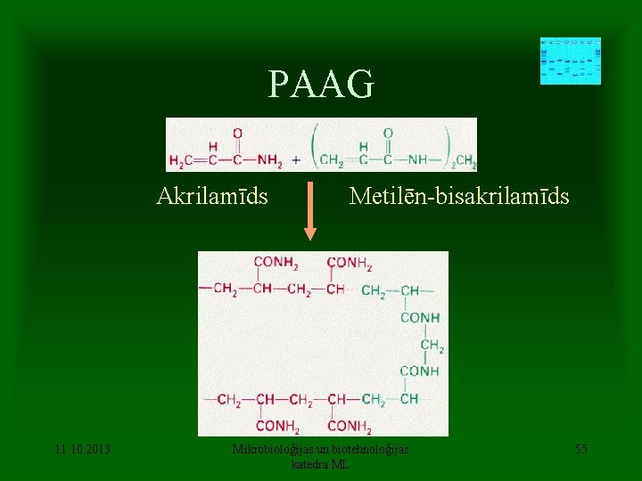 PAAG Akrilamīds 11. 10. 2013. Metilēn-bisakrilamīds Mikrobioloģijas un biotehnoloģijas katedra ML 55 