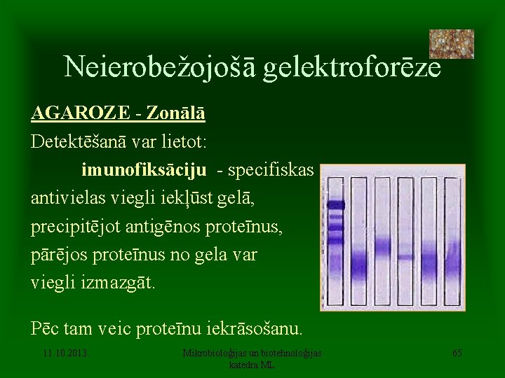 Neierobežojošā gelektroforēze AGAROZE - Zonālā Detektēšanā var lietot: imunofiksāciju - specifiskas antivielas viegli iekļūst