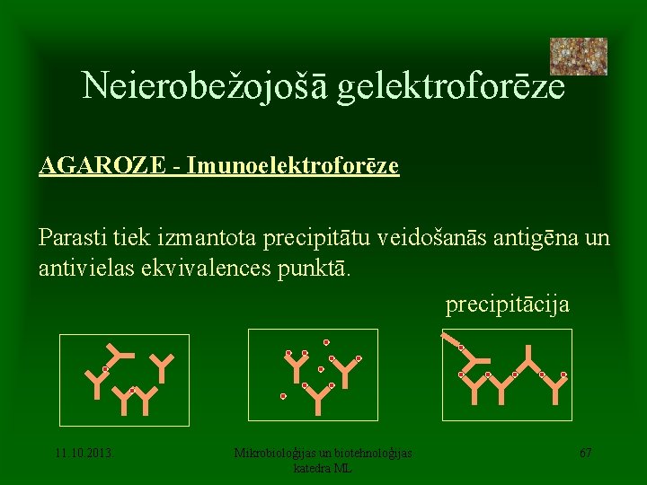 Neierobežojošā gelektroforēze AGAROZE - Imunoelektroforēze Parasti tiek izmantota precipitātu veidošanās antigēna un antivielas ekvivalences