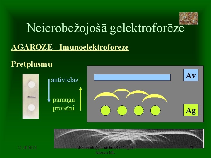 Neierobežojošā gelektroforēze AGAROZE - Imunoelektroforēze Pretplūsmu Av antivielas 11. 10. 2013. ( ( parauga