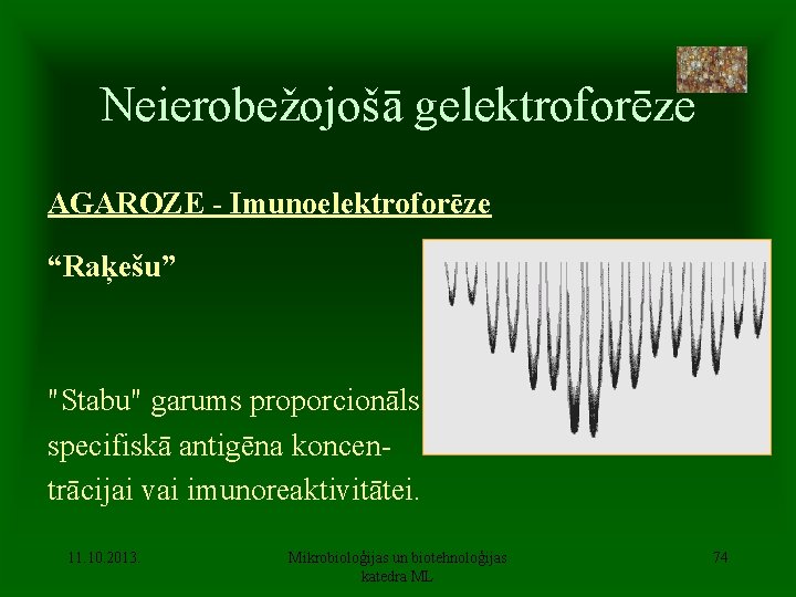 Neierobežojošā gelektroforēze AGAROZE - Imunoelektroforēze “Raķešu” "Stabu" garums proporcionāls specifiskā antigēna koncentrācijai vai imunoreaktivitātei.