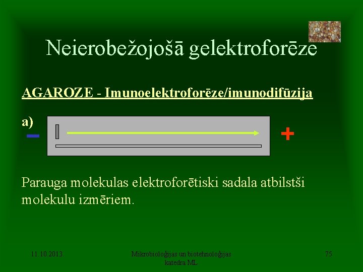 Neierobežojošā gelektroforēze AGAROZE - Imunoelektroforēze/imunodifūzija a) Parauga molekulas elektroforētiski sadala atbilstši molekulu izmēriem. 11.