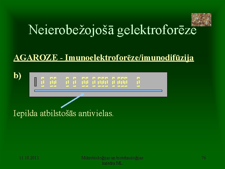 Neierobežojošā gelektroforēze AGAROZE - Imunoelektroforēze/imunodifūzija b) Iepilda atbilstošās antivielas. 11. 10. 2013. Mikrobioloģijas un