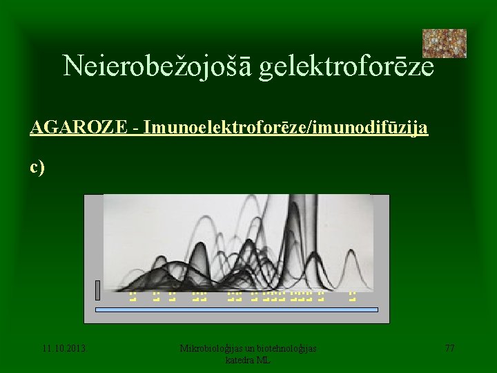 Neierobežojošā gelektroforēze AGAROZE - Imunoelektroforēze/imunodifūzija c) 11. 10. 2013. Mikrobioloģijas un biotehnoloģijas katedra ML