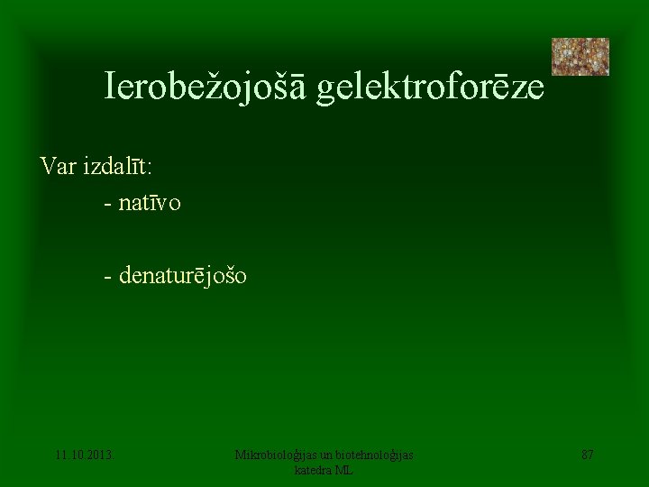 Ierobežojošā gelektroforēze Var izdalīt: - natīvo - denaturējošo 11. 10. 2013. Mikrobioloģijas un biotehnoloģijas