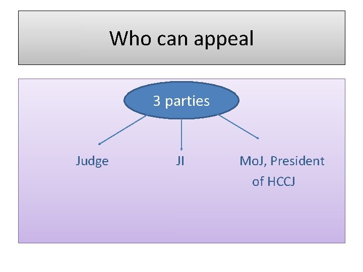 Who can appeal 3 parties Judge JI Mo. J, President of HCCJ 