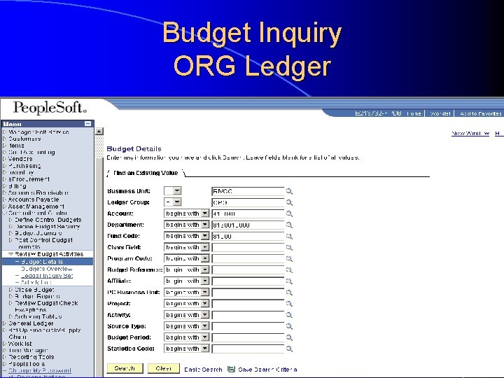 Budget Inquiry ORG Ledger 