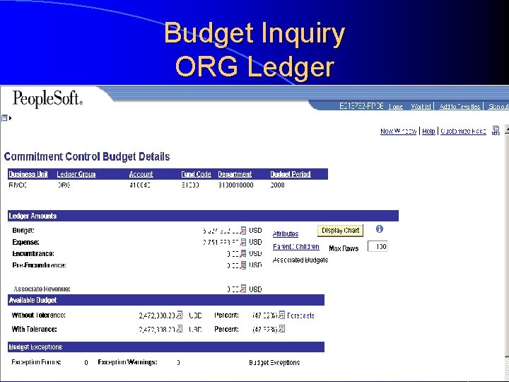 Budget Inquiry ORG Ledger 